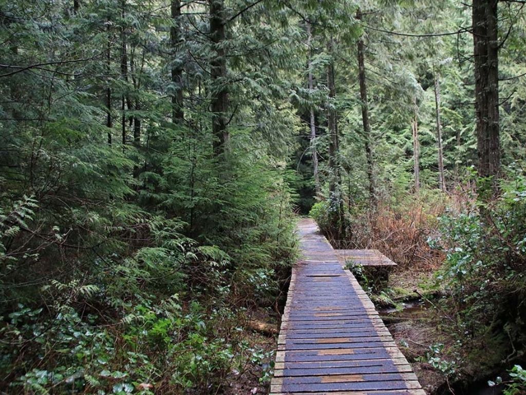 wooden boardwalk on the mike lake trail
