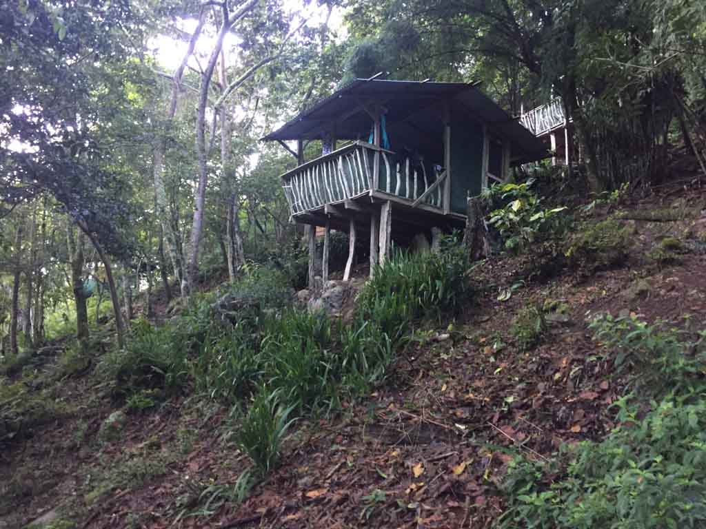 sleeping hut in the costa rican jungle