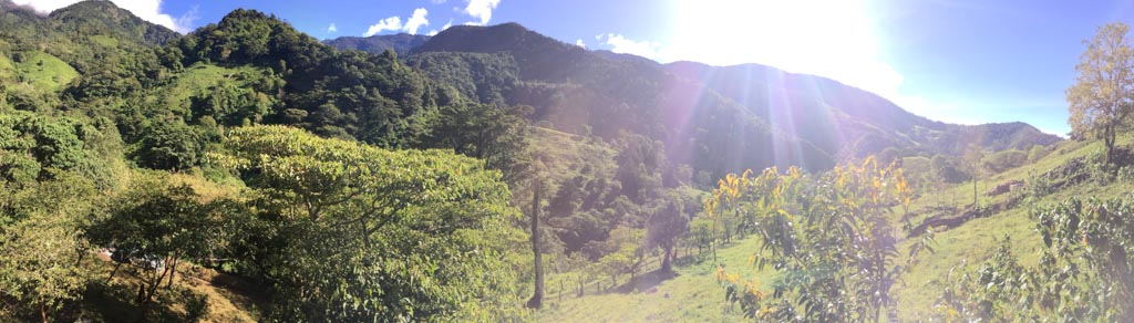 view from the hike to san miguel at the Run Like a Girl Adventure and Wellness Retreat in Costa Rica