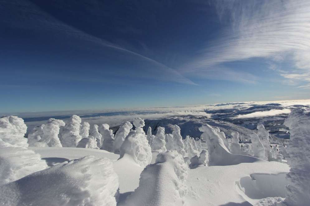 Mount Washington, one of the best family ski resorts in BC