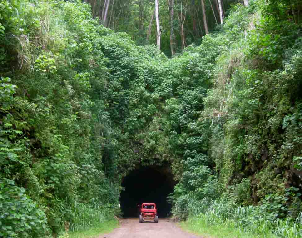 ATV driving into the Willcox tunnel 