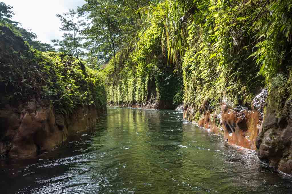 Kauai tubing river