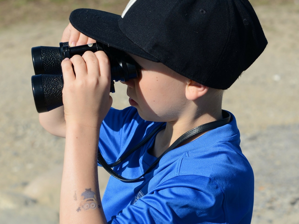 Boy birdwatching for free things to do with kids spring break