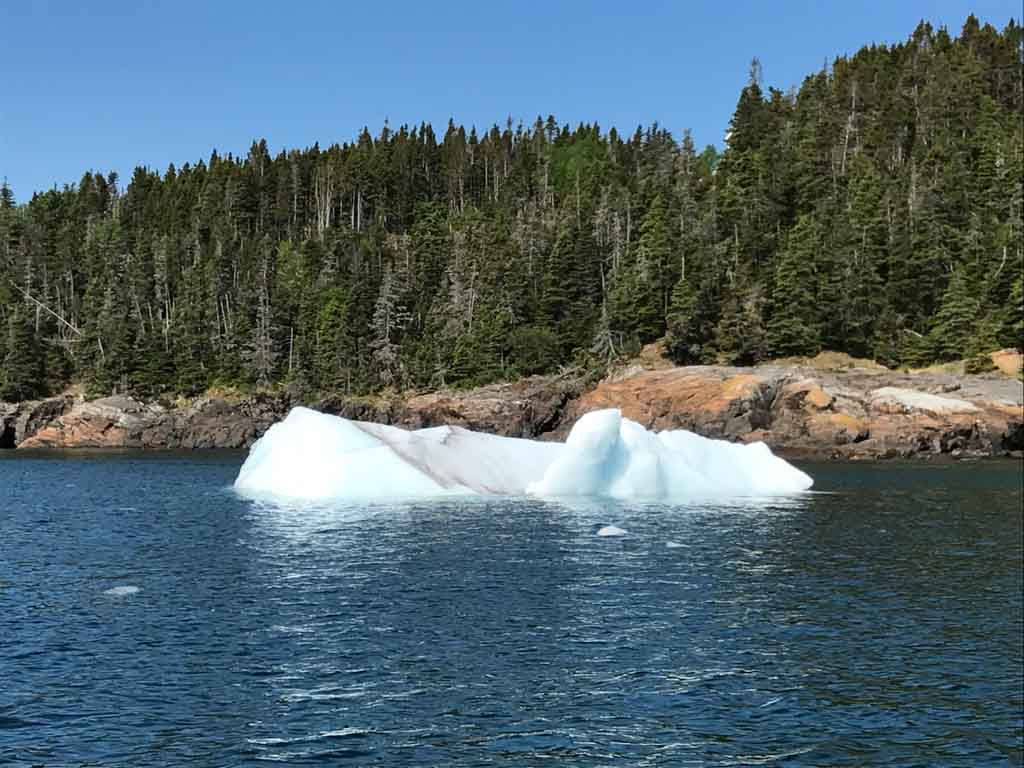 Small iceberg from the iceberg tours Newfoundland 