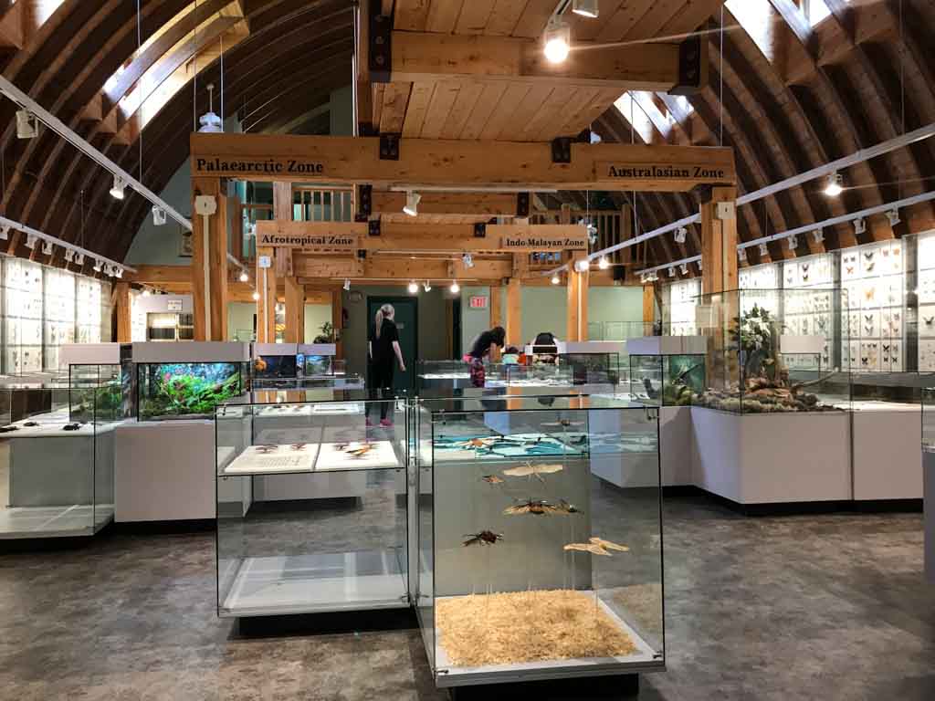 Inside the Newfoundland Insectarium
