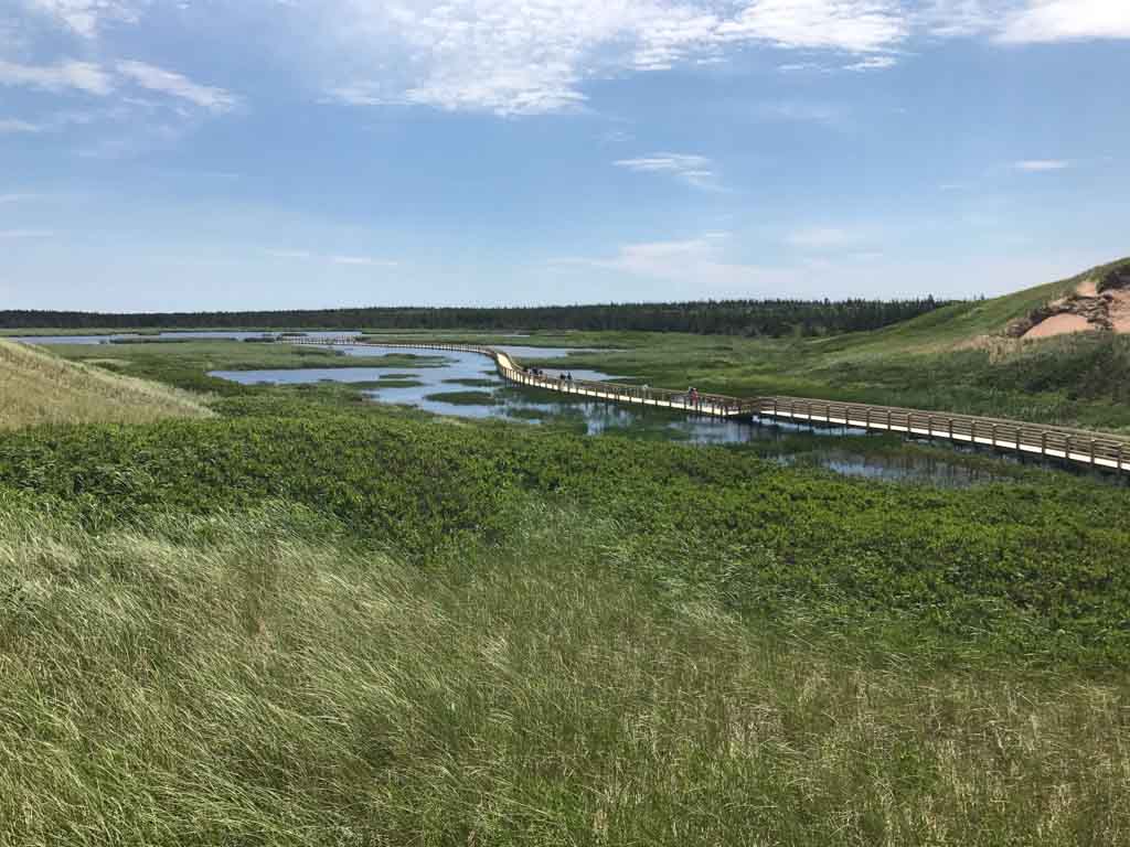 Boardwalk trail to Greenwich Dunes at the PEI National Park