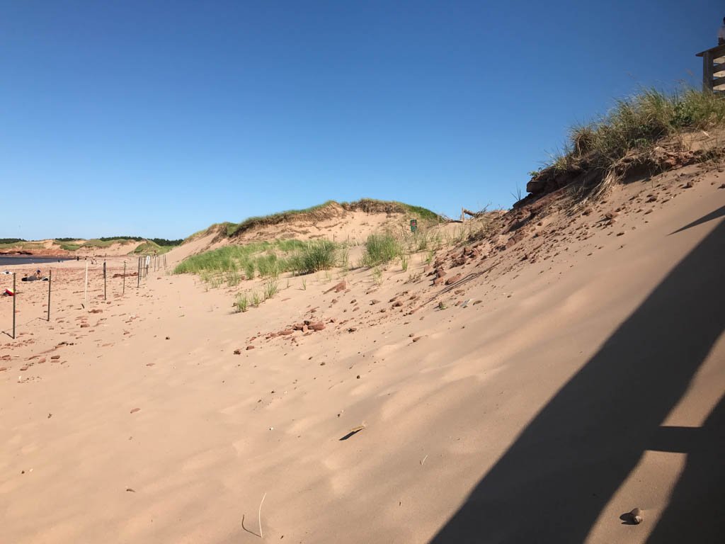 Sand dunes in the PEI National Park
