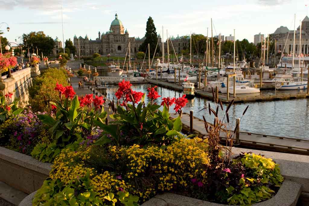 victoria-downtown