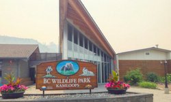 bc-wildlife-park