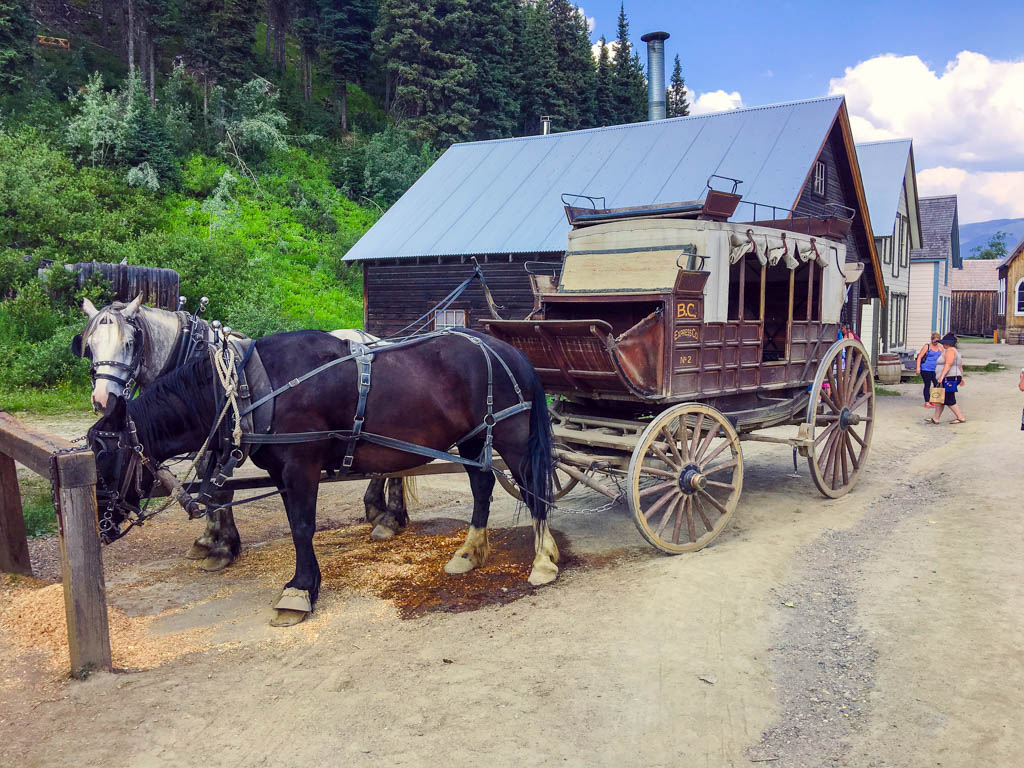 stagecoach rides horse and carriage in Barkerville