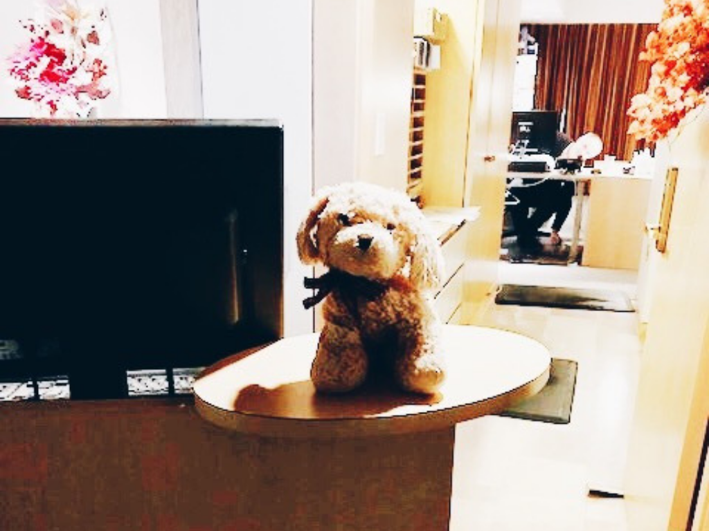 stuffed-puppy-on-front-desk-of-inn-at-laurel-point