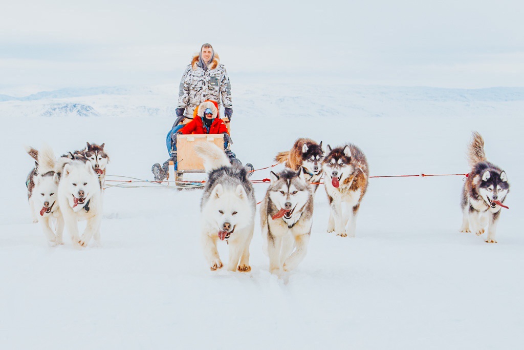 woman-on-dog-sled