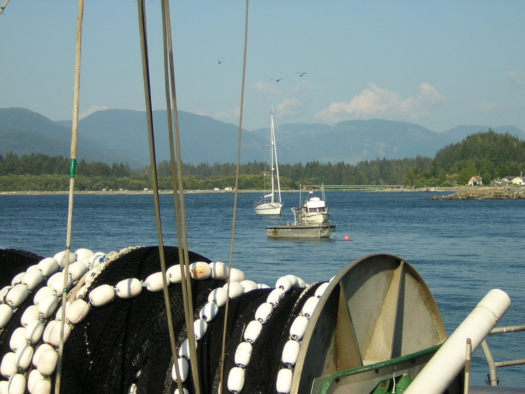 view-of-fishing-boats-in-port-renfrew