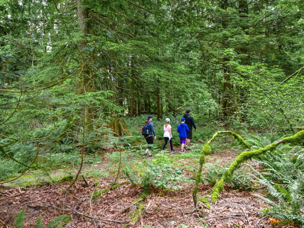 Jami Savage and family Forest Bathing in Harrison
