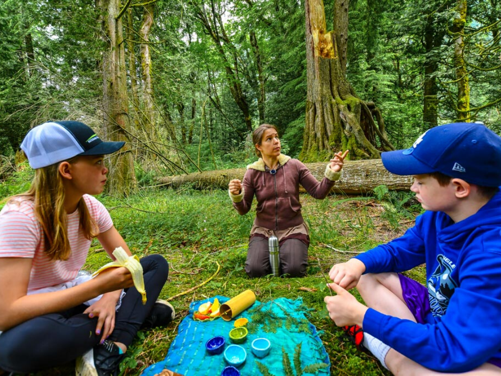 Children having a tea ceremony during Forest Bathing in Harrison